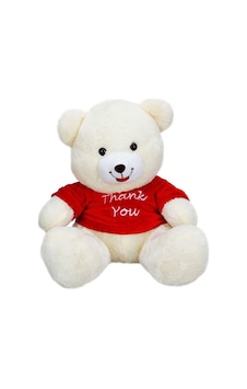 1506 T-shirtlü Oturan Peluş Ayı 60 Cm -sunman 1506 T-shirtlü Oturan Peluş Ayı 60 Cm -sunman
