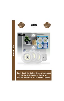 Özel Seri Ev Dekor Salon Lambası Stil Sahibi Modern Dekoratif Tavan Armatür 3'lu Spot Lamba Çok Renkli Özel Seri Ev Dekor Salon Lambası Stil Sahibi Modern Dekoratif Tavan Armatür 3'lu Spot Lamba Çok Renkli