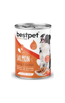 Bestpet Parça Etli Somon Etli Yetişkin Köpek Konservesi 24 Adet 400 Gr 243-20021.04 Bestpet Parça Etli Somon Etli Yetişkin Köpek Konservesi 24 Adet 400 Gr 243-20021.04
