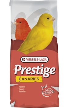Versele Laga Canaries Kuş Yemi 1 Kg Versele Laga Canaries Kuş Yemi 1 Kg