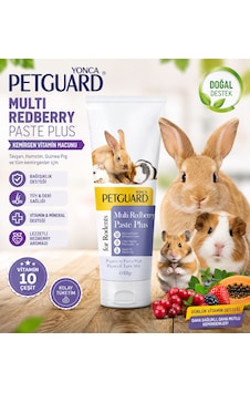 Kemirgen Macunu 100 Gr Tavşan Guinea Pig Hamster İçin Vitamin Destek Paste