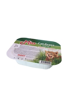 Mio Cat Grass Kutulu Kedi Çimi Mio Cat Grass Kutulu Kedi Çimi