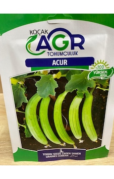 Agr Acur Tohumu SALATALIK Agr Acur Tohumu SALATALIK