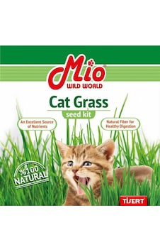 Mio Cat Grass Kedi Çimi