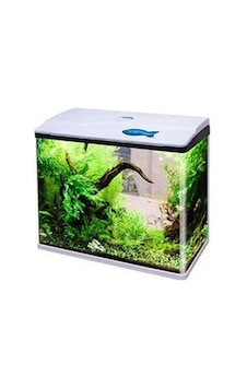 Sobo Komple Akvaryum 60x30x51 Cm Beyaz Sobo Komple Akvaryum 60x30x51 Cm Beyaz