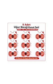 9 Lu Uğur Böceği Kostüm Seti Kanat Taç Asa 1