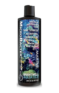 Brightwell Microbacterstartxlm -Kültürü 250 ML