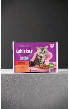 Yaş Yavru Kedi Maması 4x85 G