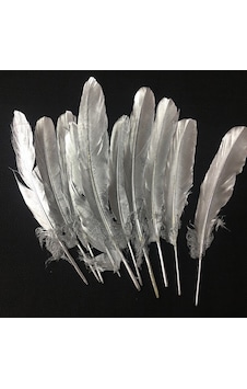 10 Adet Metalik Parlak Gümüş Kuş Tüyü Gümüş Kuş Tüyü Decor Silver Bırd Feather Gümüş Şeffaf Balon Tüyü 10 Adet Metalik Parlak Gümüş Kuş Tüyü Gümüş Kuş Tüyü Decor Silver Bırd Feather Gümüş Şeffaf Balon Tüyü