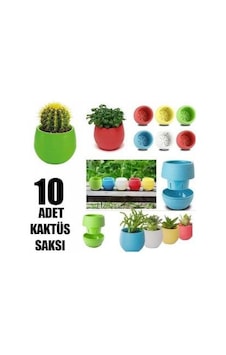 Plastik Mini Kaktüs Saksı 10 Adet