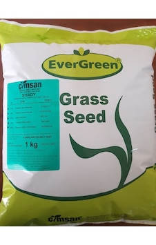 Evergreen Shady Gölge Alan Çim Tohumu 1 Kg