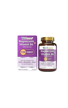 Wellcare Magnezyum B6 Vt 200/10mg 120 Tb