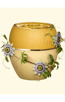 Oriflame Tender Care Çarkıfelek Meyvesi Çekirdeği Özlü Koruyucu Balm 36153