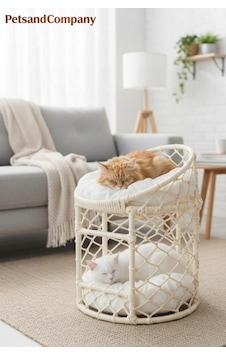 Lüks İki Katlı Kedi Köpek Evi, El Yapımı Özel Tasarım Örgü Kedi Yatağı, Modern Kedi Kulübesi Krem