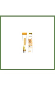 Bezos Multi Vitamin Kedi Macunu 100 Gr Hb006 Bezos Multi Vitamin Kedi Macunu 100 Gr Hb006