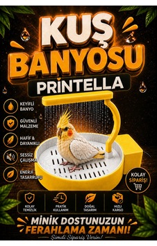Dekoratif & Eğlenceli Kuş Havuzu