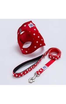Simple Love Göğüs Tasması Ve Sevk Kayışı Tasma Seti Kalpler Desenli Kedi Köpek Göğüs Tasması Seti Kırmızı Simple Love Göğüs Tasması Ve Sevk Kayışı Tasma Seti Kalpler Desenli Kedi Köpek Göğüs Tasması Seti Kırmızı