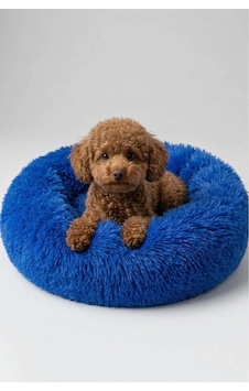 United Colors Of Benetton Bntmkt-0012-bl Uzun Kürklü Donut Kedi&köpek Yatağı Mavi 45 Cm United Colors Of Benetton Bntmkt-0012-bl Uzun Kürklü Donut Kedi&köpek Yatağı Mavi 45 Cm