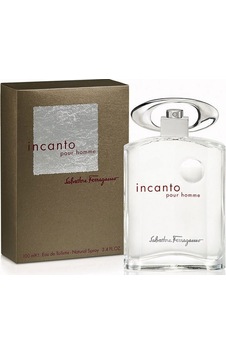 Salvatore Ferragamo Incanto Erkek Parfüm EDT 100 ML Salvatore Ferragamo Incanto Erkek Parfüm EDT 100 ML