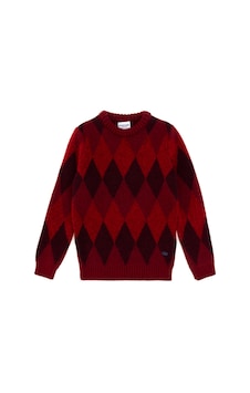 U.s. Polo Assn. Erkek Çocuk Vişne Kazak /triko 50293014-vr223 Vişne