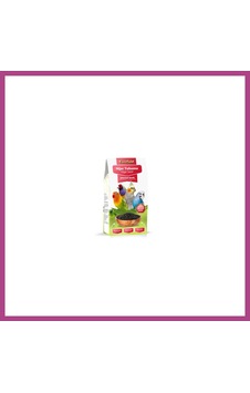 Gees Global Nijer Tohumu Kuş Yemi 100 Gr Gbzs Gees Global Nijer Tohumu Kuş Yemi 100 Gr Gbzs