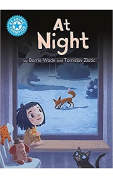 Reading Champion: At Night: Independent Reading Blue 4