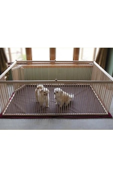 200x100 Ahşap Köpek Çiti (Yükseklik 50 cm.) 200x100 Ahşap Köpek Çiti (Yükseklik 50 cm.)