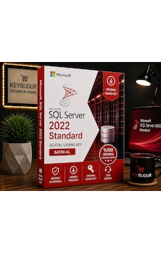 Microsoft Sql Server 2022 Standard Dijital Lisans Key Satın Al