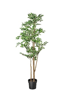 Yapay Bitki , Yeşil, 21 Cm, Benjamin, İç-dış Mekan Diğer Yapay Bitki , Yeşil, 21 Cm, Benjamin, İç-dış Mekan Diğer