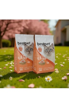 Bestpet Kısırlaştırılmış Somonlu Yetişkin Kedi Maması 2 x 1 KG Bestpet Kısırlaştırılmış Somonlu Yetişkin Kedi Maması 2 x 1 KG
