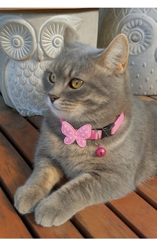 Mıt Kedi Boyun Tasması Kelebekli Pembe Mıt Kedi Boyun Tasması Kelebekli Pembe