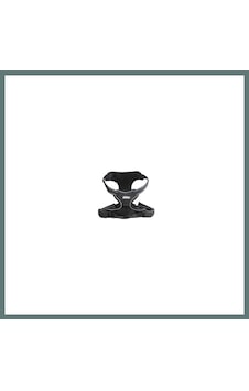 Pawise Easy Walking Köpek Göğüs Tasması Xlarge Ventra Çok Renkli Pawise Easy Walking Köpek Göğüs Tasması Xlarge Ventra Çok Renkli