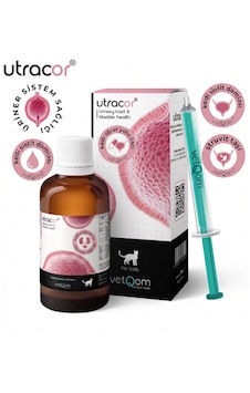 Vetqom Utracor Kedi Üriner Sistem Sağlığı Likit Takviyesi 45 Ml Orijinal Ürün Vetqom Utracor Kedi Üriner Sistem Sağlığı Likit Takviyesi 45 Ml Orijinal Ürün