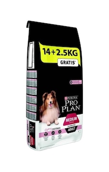 Orta Irk Somonlu Yetişkin Köpek Maması 16,5 Kg Orta Irk Somonlu Yetişkin Köpek Maması 16,5 Kg