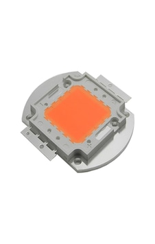 50 W Amber Renk Power Cob Led