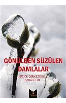 Gözülden Süzülen Damlalar / Hatice Karabulut Çerkezoğlu