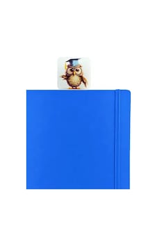 Mezun Baykuş Kitap Ayracı Mezun Baykuş Kitap Ayracı