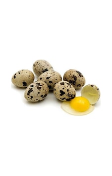 Bıldırcın Yumurtası Bıldırcın Yumurtası