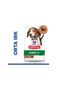 Hill's Scıence Plan Orta Irk Kuzulu Ve Pirinçli Yavru Köpek Maması 2,5 Kg Hill's Scıence Plan Orta Irk Kuzulu Ve Pirinçli Yavru Köpek Maması 2,5 Kg