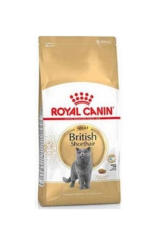 Northcity British Shorthair Adult Kedi Maması 10 Kg - Uzmanlar Tarafından Seçilmiş Dengeleyici Beslenme Northcity British Shorthair Adult Kedi Maması 10 Kg - Uzmanlar Tarafından Seçilmiş Dengeleyici Beslenme