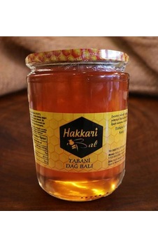 Gurmepark Hakkari Yabani Dağ Balı 460 G Gurmepark Hakkari Yabani Dağ Balı 460 G