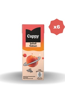 Şeftali Meyve Nektarı 200 Ml - 6 Adet Şeftali Meyve Nektarı 200 Ml - 6 Adet