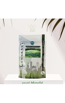 Ak Üçgül Trifolium repens 1 kg Ak Üçgül Trifolium repens 1 kg