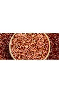 Grpet Kızıl Dal Darı Tanesi Elenmiş 1 KG Grpet Kızıl Dal Darı Tanesi Elenmiş 1 KG