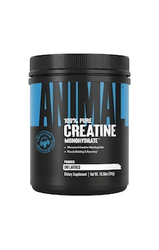 Universal Animal Creatine Monohydrate 300 Gr Standart Universal Animal Creatine Monohydrate 300 Gr Standart