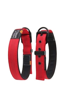 Nunbell Boyun Tasması 2,5cm Diğer Nunbell Boyun Tasması 2,5cm Diğer