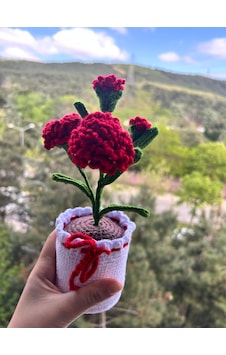 Örgü Saksılı Beyaz Karanfil Hediye