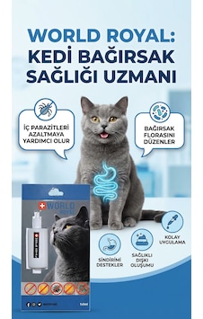 Kedi İç Parazit Bağırsak Rahatlatıcı