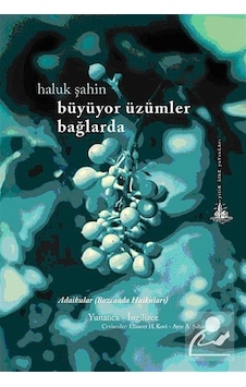 Büyüyor Üzümler Bağlarda - Bozcaada Haikuları - Haluk Şahin - Yitik Ülke Yayınları