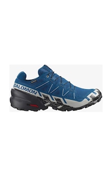 Salomon Speedcross 6 Gore-tex Renkli